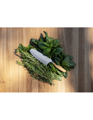 Wüsthof Santoku Amici 17 cm