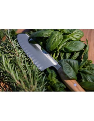 Wüsthof Santoku Amici 17 cm