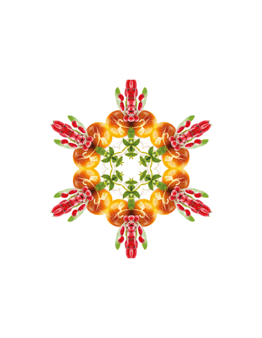 Parfum 500ml Baies de Goji