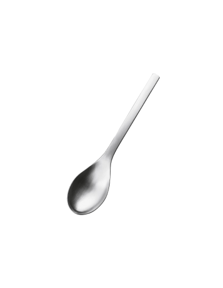 Serveerlepel / Opscheplepel