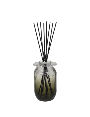 Parfum Berger Evanescence Grise