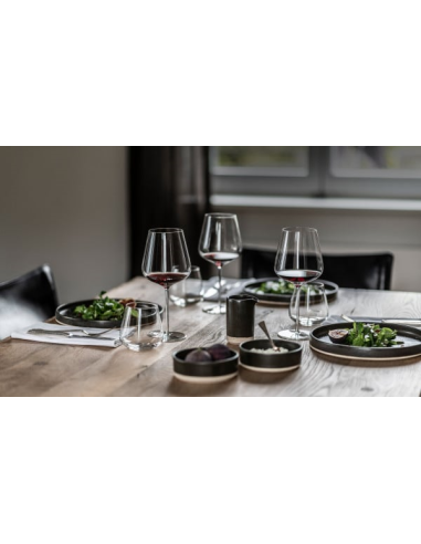 Zwiesel Vervino Waterglas MP 60