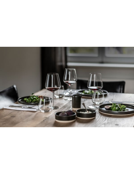 Zwiesel Vervino Waterglas MP 60