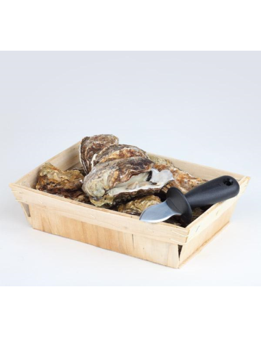 VV Oestermes met beschermer