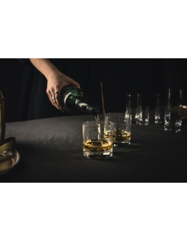 Zwiesel Tavoro Whiskybeker no.60