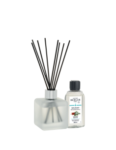 Parfum Berger Winter Givré
