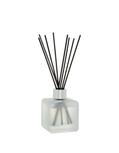 Parfum Berger Winter Givré