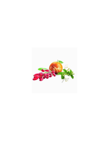 Parfum 1000ml Baies de Goji