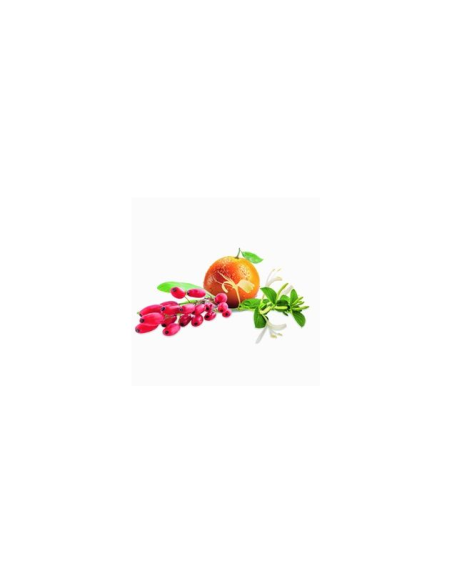 Parfum 1000ml Baies de Goji