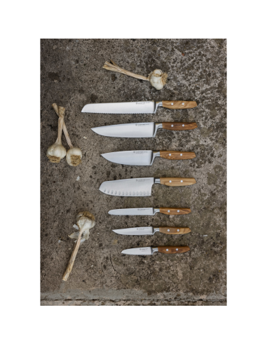 Wüsthof Steakmes Amici 12 cm