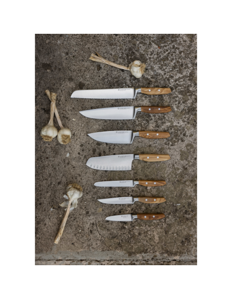 Wüsthof Steakmes Amici 12 cm