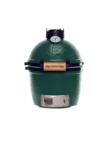 Big Green Egg Mini Standaard