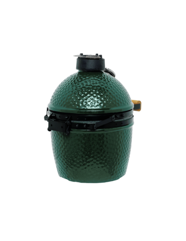Big Green Egg Mini Standaard