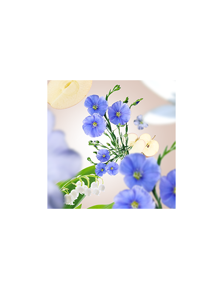 Parfum 1000ml Lin en Fleurs