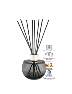 Parfum Berger Holly Gris Mousse