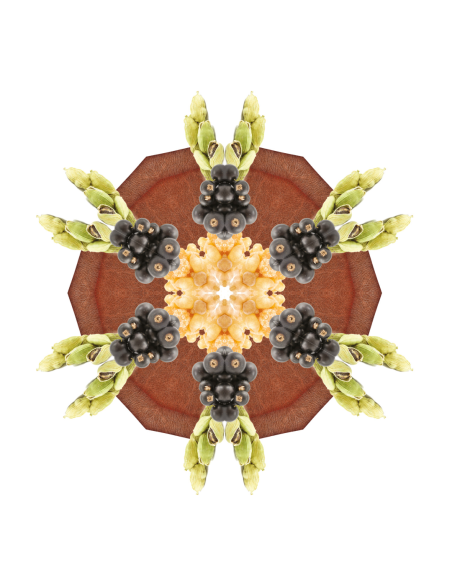 Parfum Triopack Holly