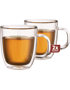 MAXXO Set-2 Thermoglas Thee 480ml