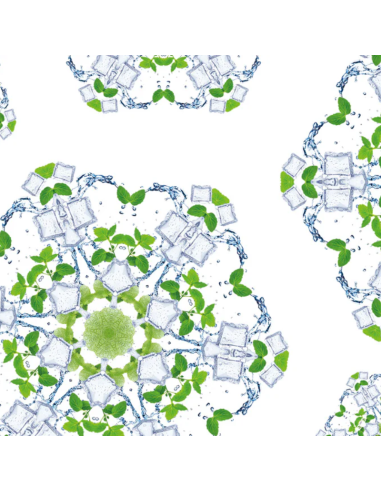 Parfum 1000 ml Eau des Menthes