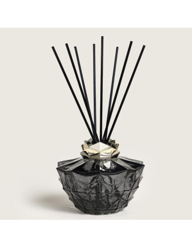 Parfum Berger Kali Noire