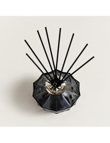 Parfum Berger Kali Noire