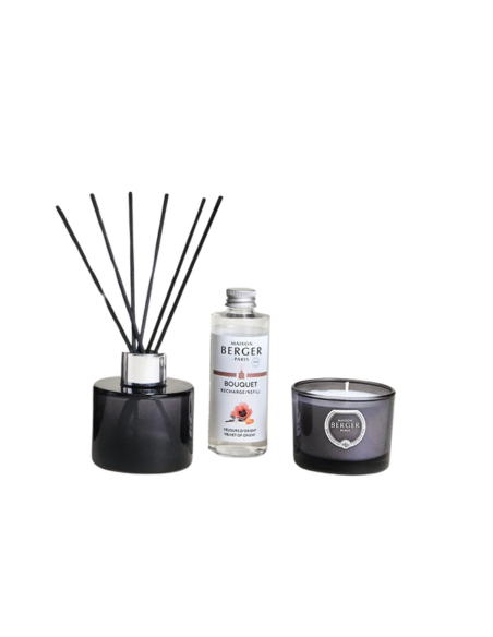 Maison Berger Duo Mini Giftset Variation