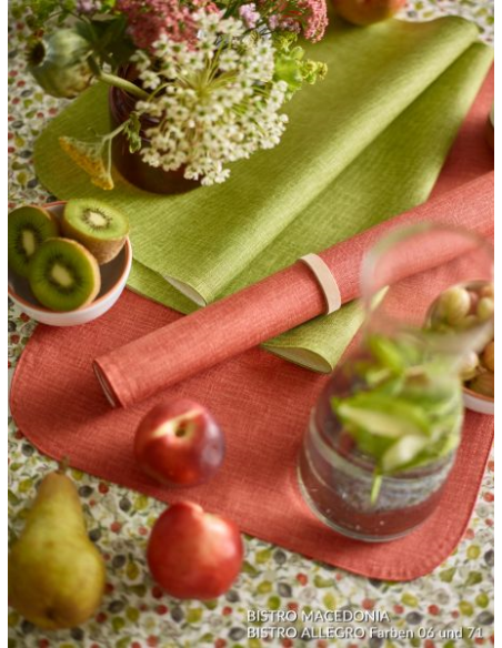 Sander Placemat Bistro Allegro 71 Terra
