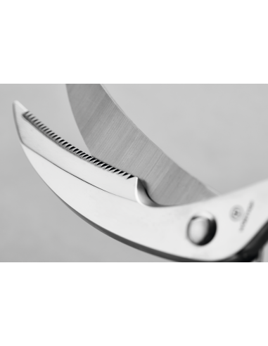 Wüsthof Wild- / Gevogelteschaar                                                              wildschaar