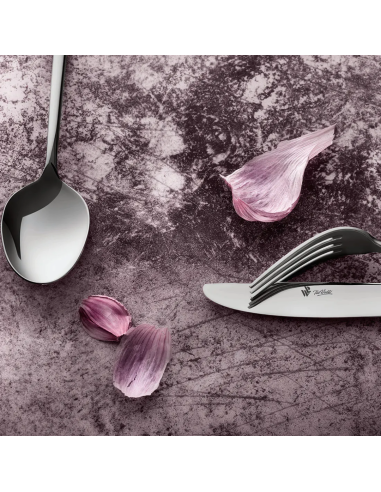 Paul Wirths Bestek Vivendi 12-p. 60-dlg Monoblock