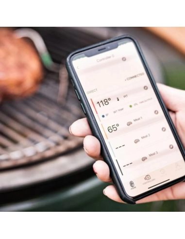 Big Green Egg Genius Temperature Control