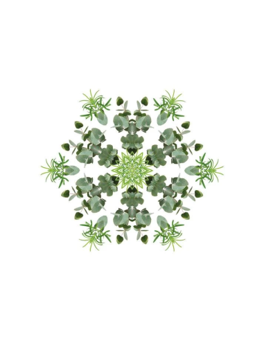 Lampe Berger Parfum 500 ml Fraicheur Eucalyptus