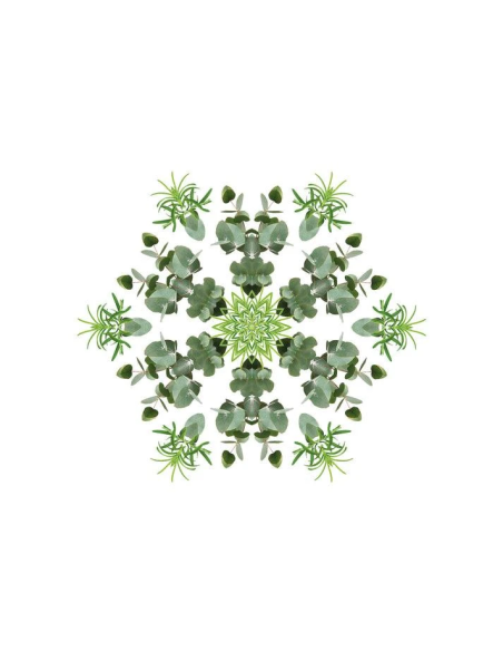 Lampe Berger Parfum 500 ml Fraicheur Eucalyptus