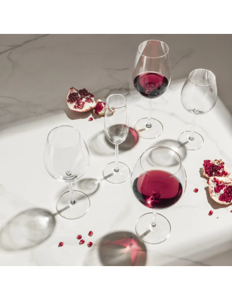 Schott Zwiesel Diva Water en rode wijnglas