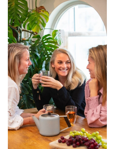 Bredemeijer  Duet Boston 1,1L.Zand