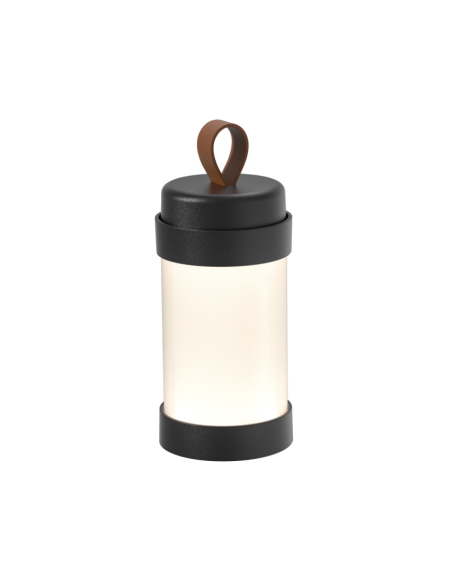 Outdoorlamp ALVA Zwart