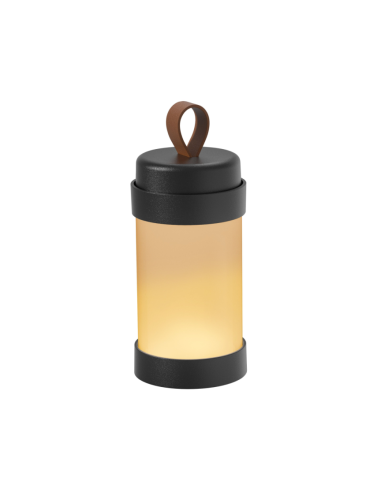Outdoorlamp ALVA Zwart