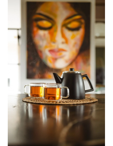 Bredemeijer Duet Odense Mat Zwart RVS 1,1L.