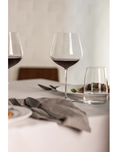 Schott Zwiesel Set-2 Bourgogneglas Vuelo 237 mm.