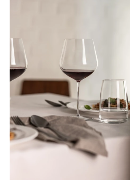 Schott Zwiesel Set-2 Bourgogneglas Vuelo 237 mm.
