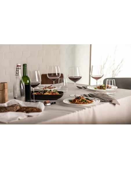 Schott Zwiesel Set-2 Bourgogneglas Vuelo 237 mm.