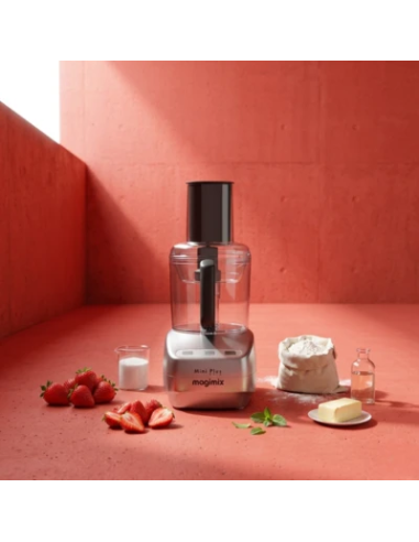 Magimix Mini Plus Mat Chroom