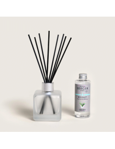 Parfum Berger Cube Startset Citronelle