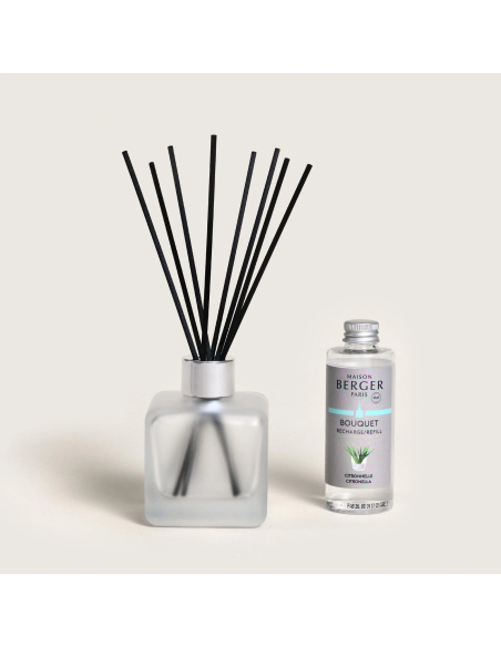 Parfum Berger Cube Startset Citronelle