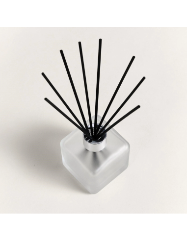 Parfum Berger Cube Startset Citronelle