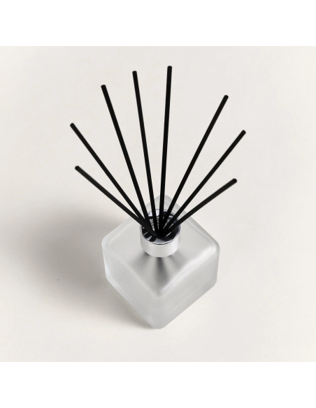 Parfum Berger Cube Startset Citronelle