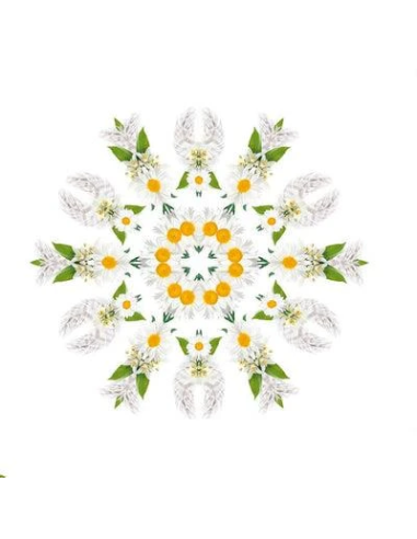 Lampe Berger Parfum 500 ml Musc Cocoon