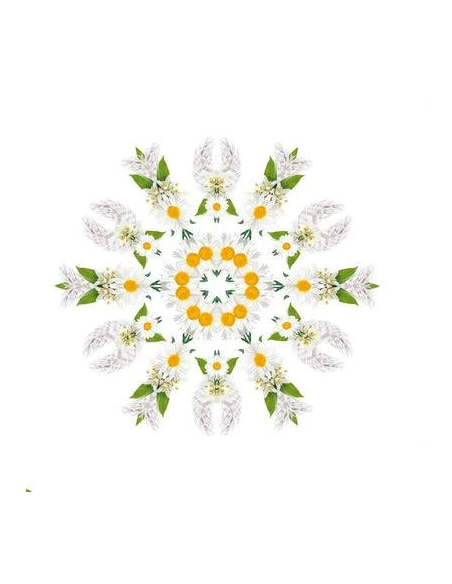 Lampe Berger Parfum 500 ml Musc Cocoon