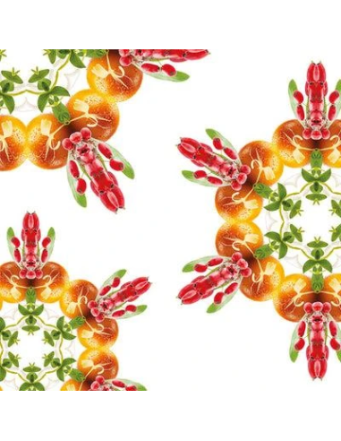 Lampe Berger Parfum 500 ml Baies Rouges