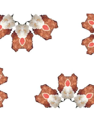 Lampe Berger Parfum 500 ml Douceur de Pamplemousse