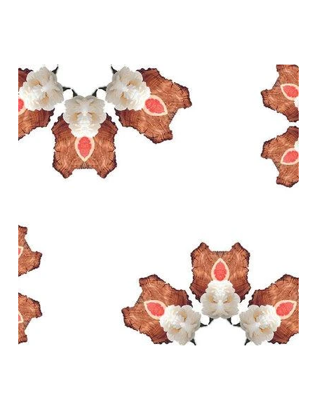 Lampe Berger Parfum 500 ml Douceur de Pamplemousse