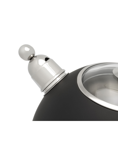 Bredemeijer fluitketel 2,5L. mat zwart